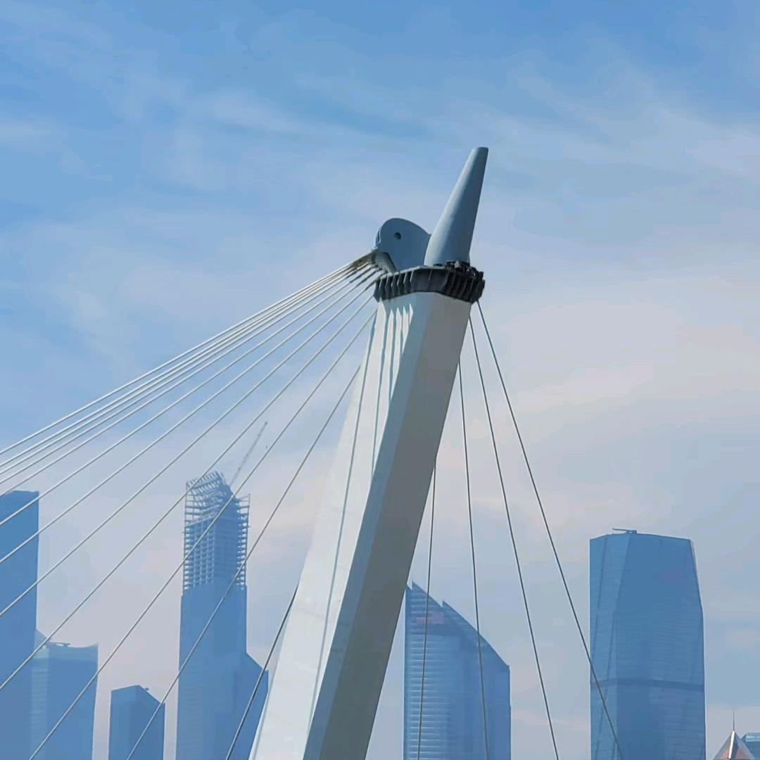 ❤️向前看🌹🌸