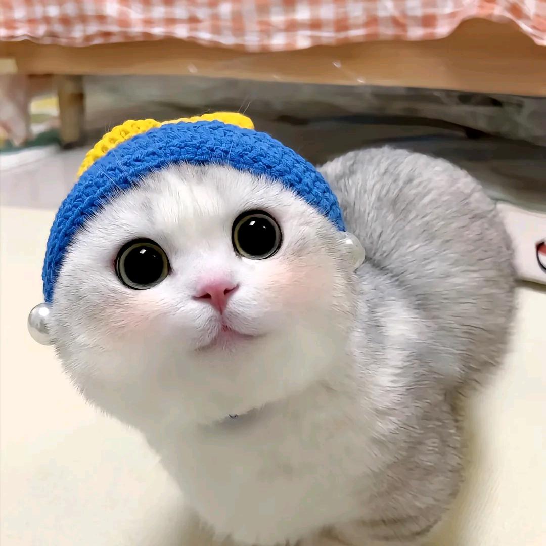 萌宠出道工厂