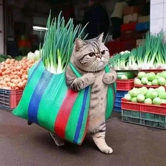 凉不过人心