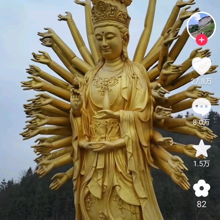 人生古柏