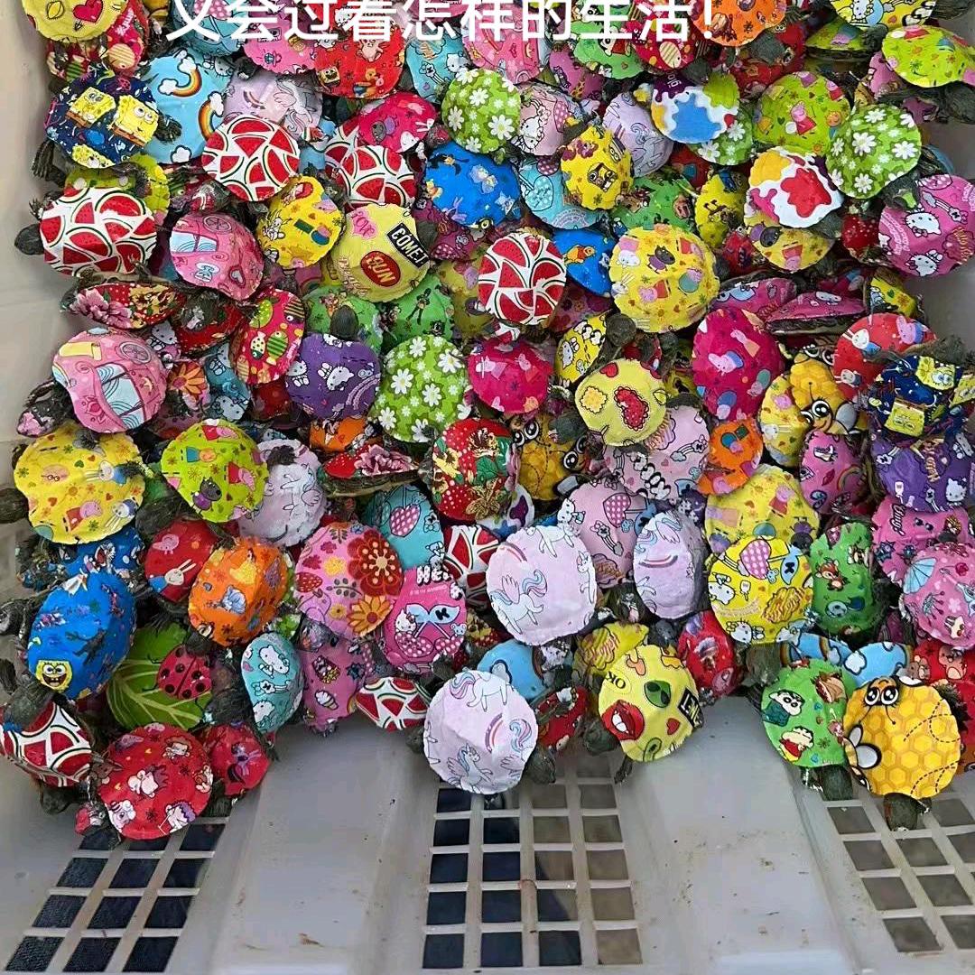朵朵儿💫