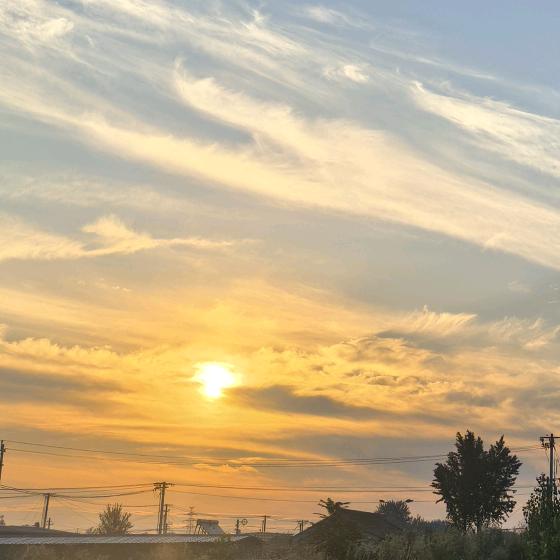 木门定制厂家直销