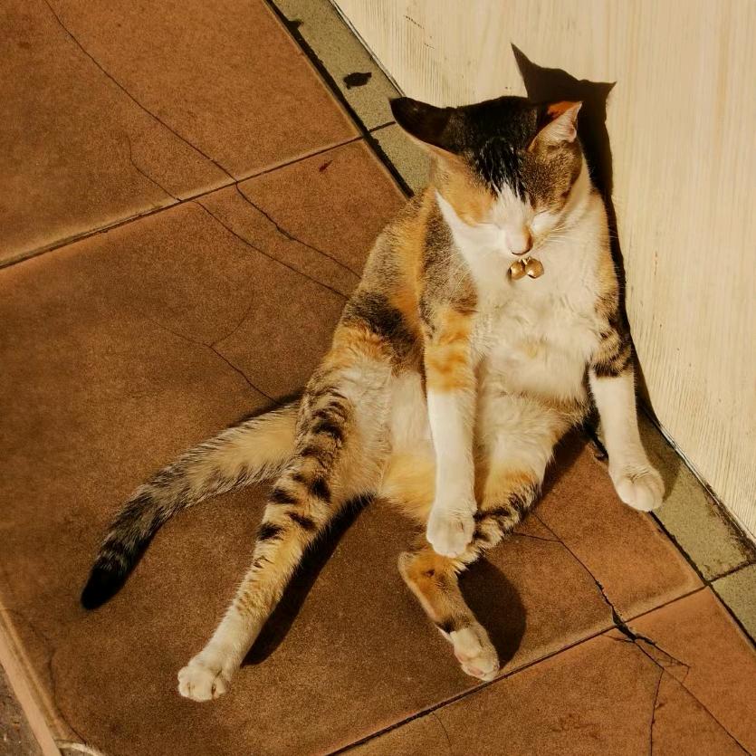 泡面只吃今麦郎