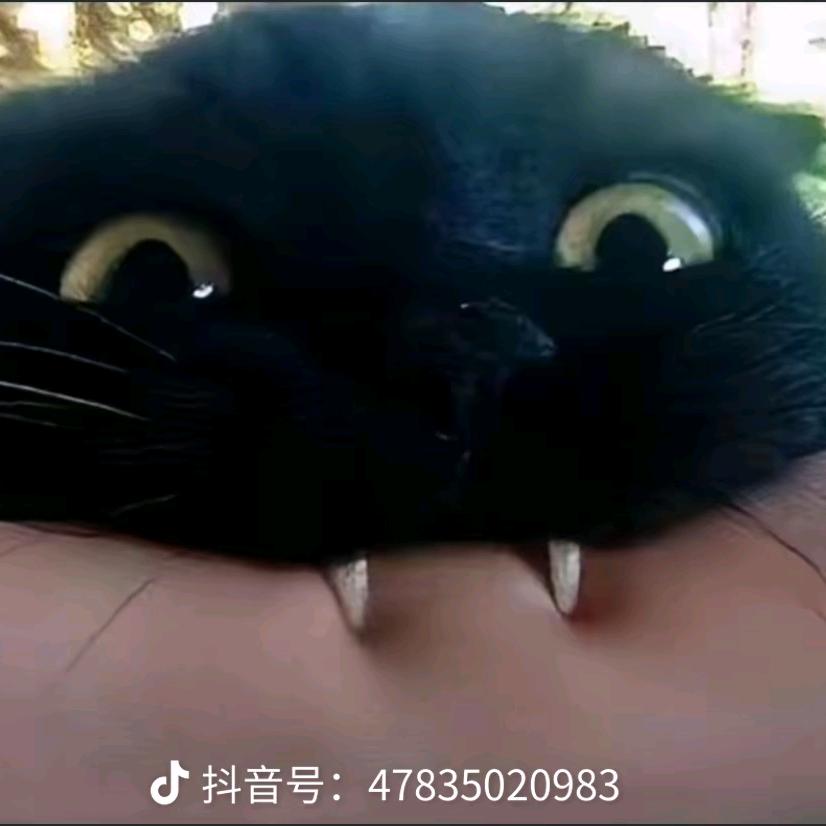 就是不上班