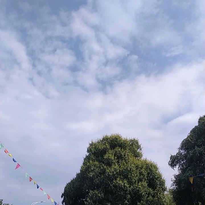 茜兮
