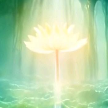 觉悟（王者变现6月1号首播）