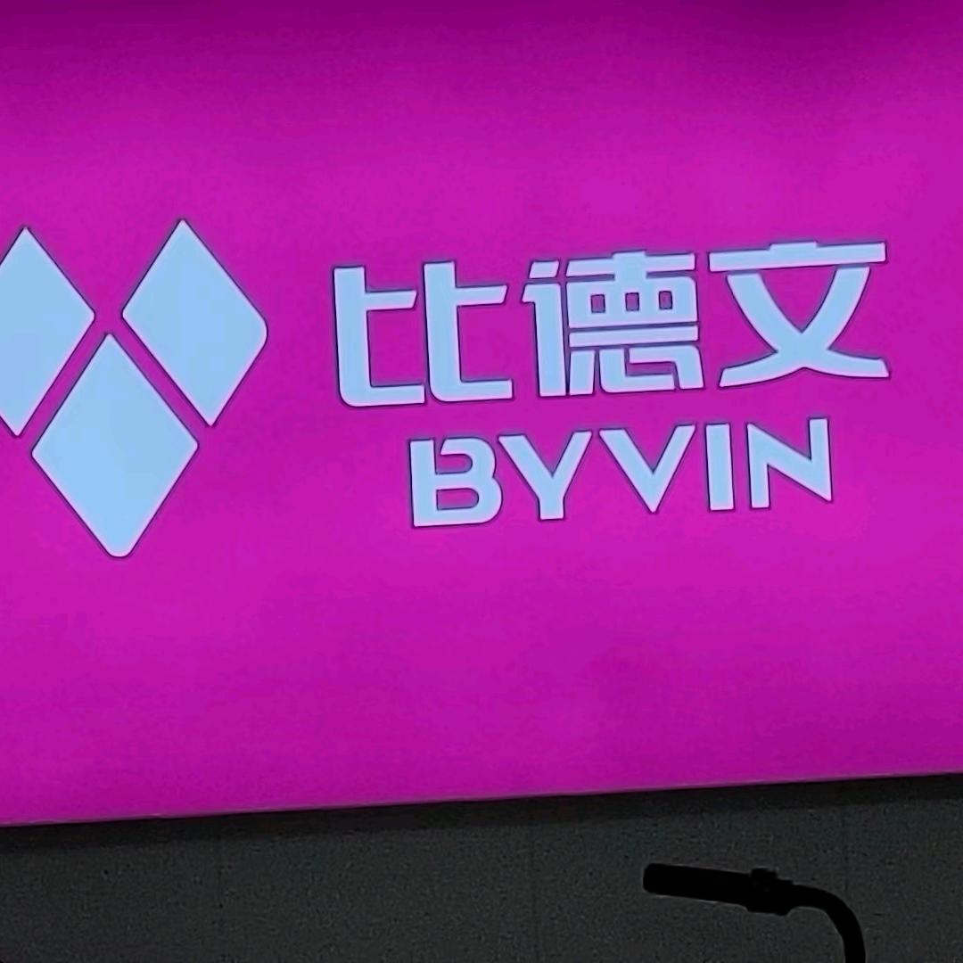 赵大胆