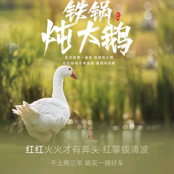 灰太狼和喜洋洋