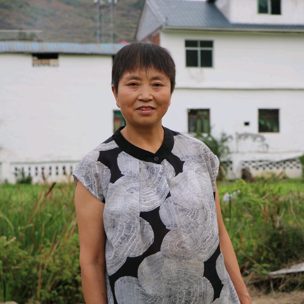 邹元芬
