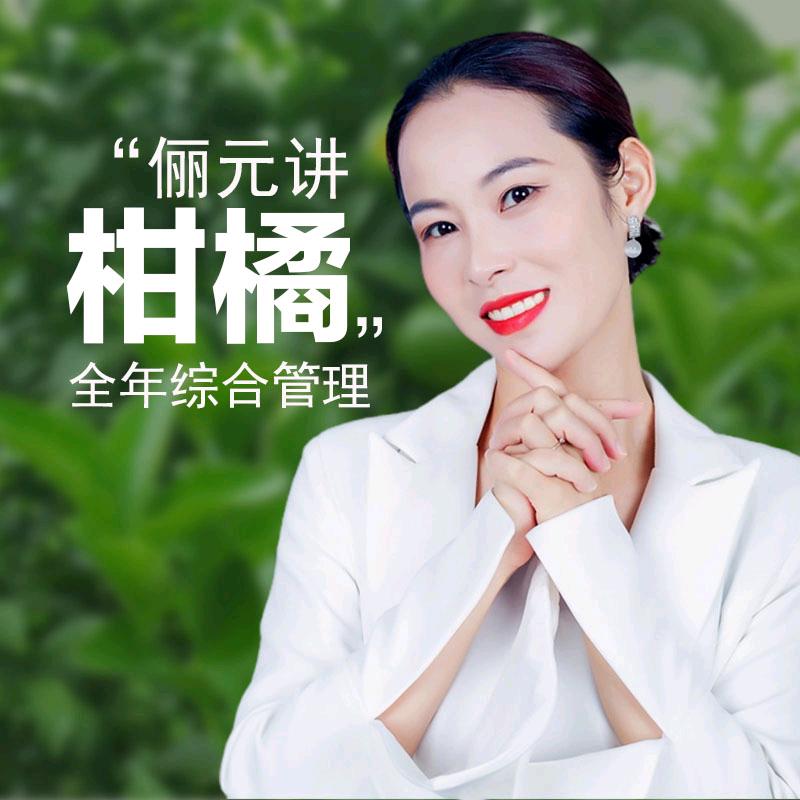 唐俪元柑橘全年管理