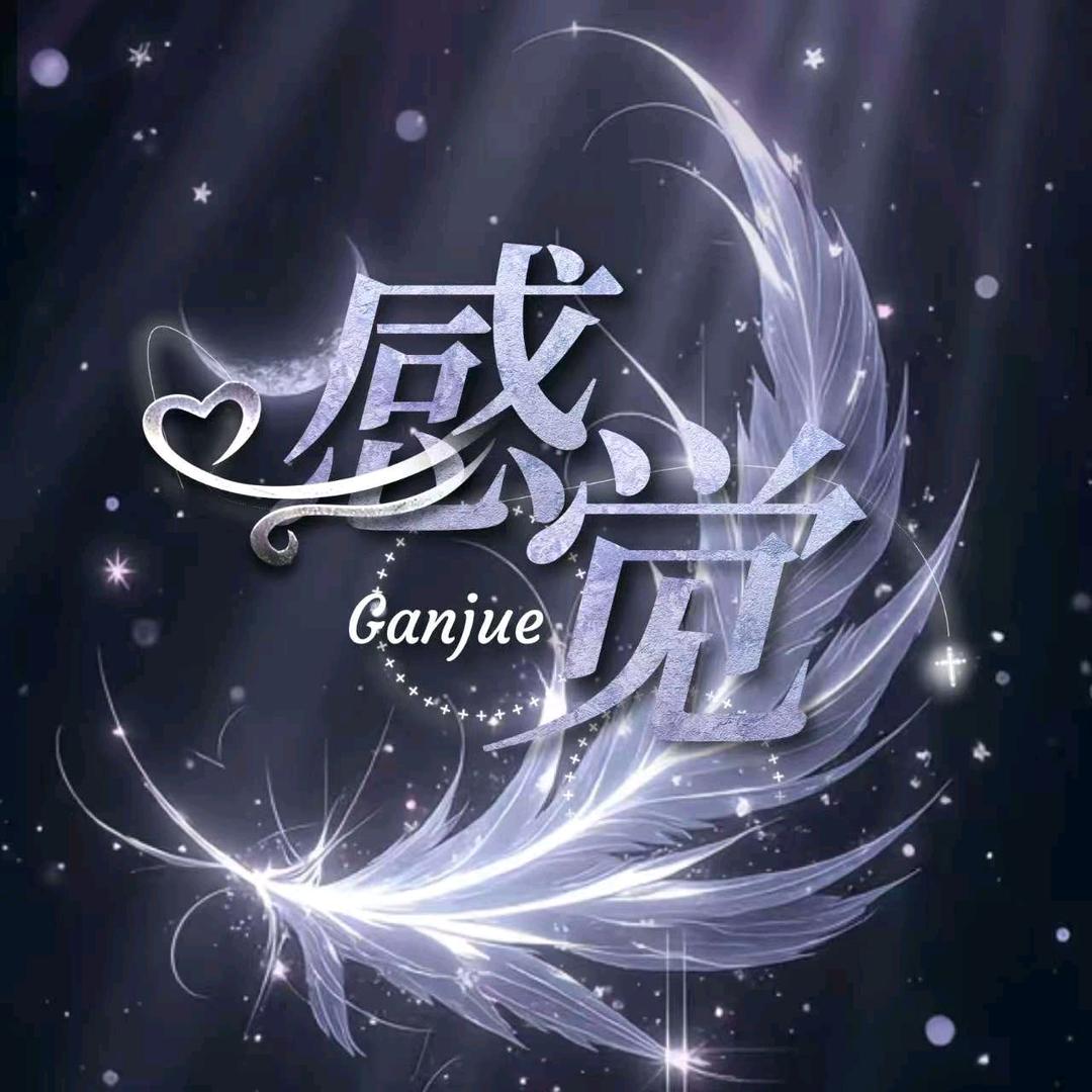 感觉/新厅待👑