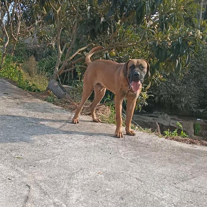 出战起步打两千