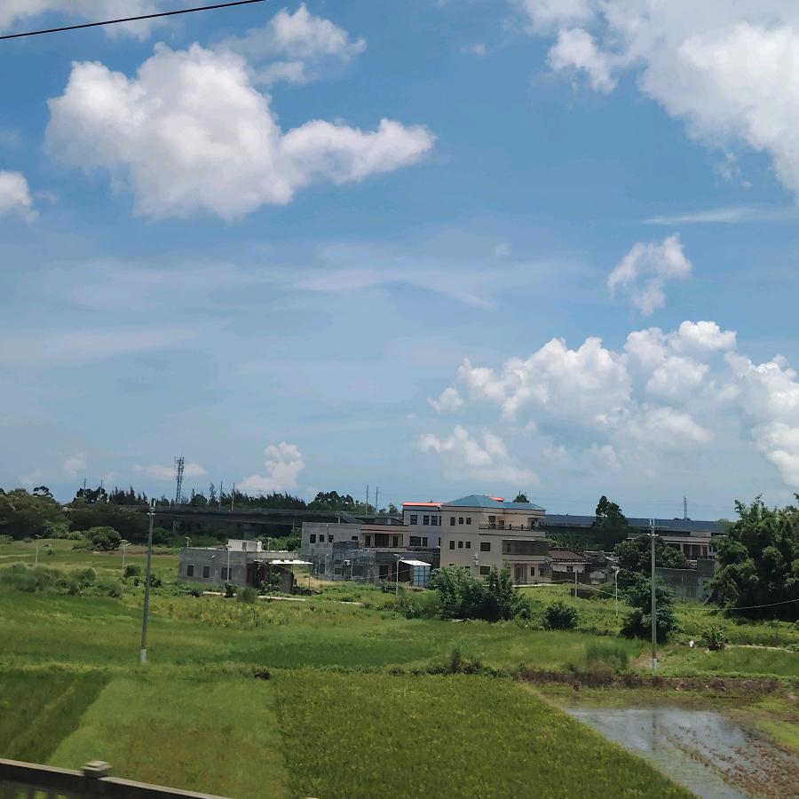 🕊✨✨ ·ི ✨✨