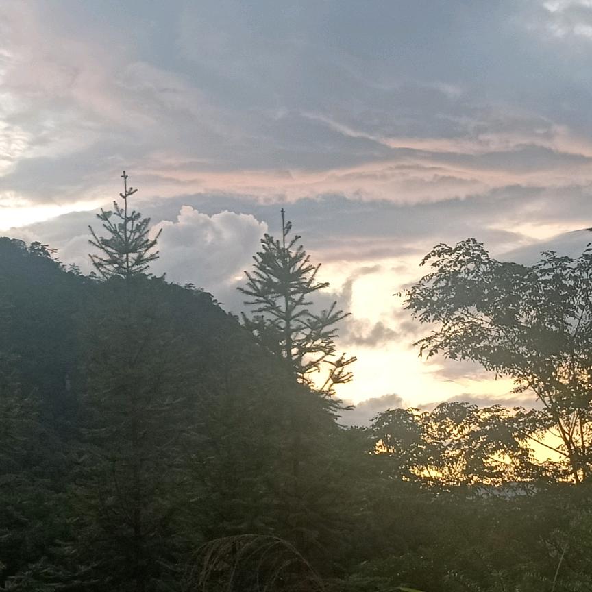 ꪶꪮꪤꫀ ོ赖💋梦 ོ🕊࿐ᩚ