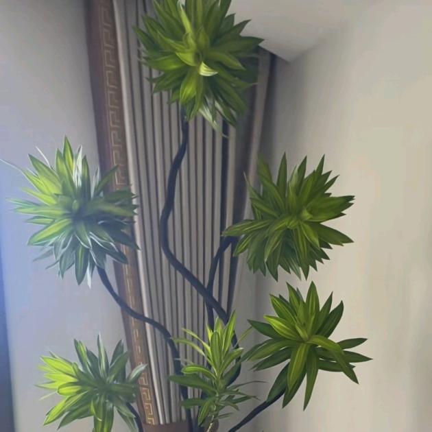 七 安