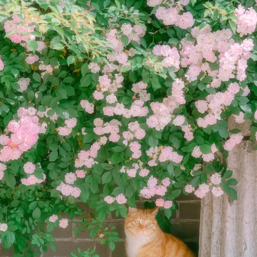 温暖守候依然美