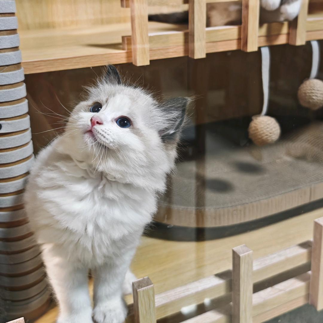舒州祥少