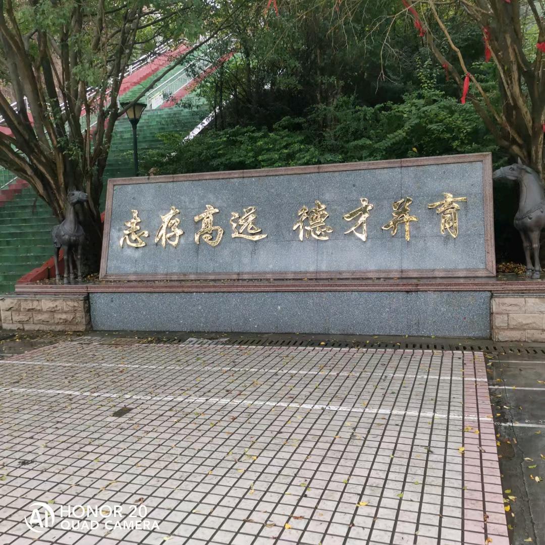 顺顺利利