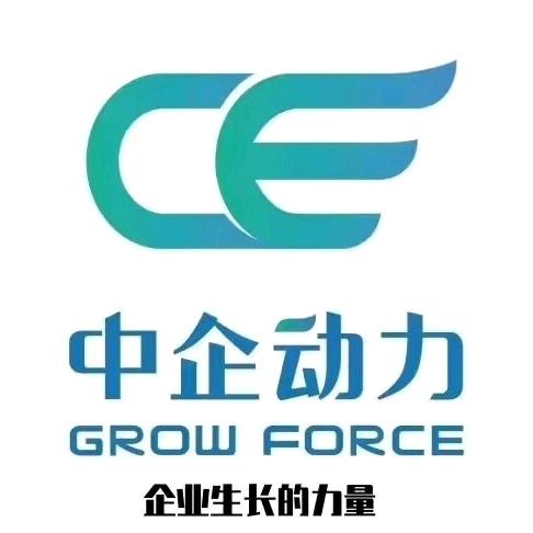 中企动力—外贸独立站推广