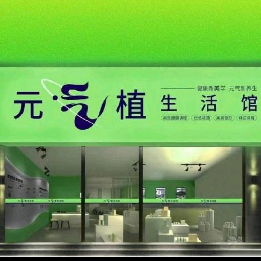 元气值免费加盟学习调理心肝脾胃肾腰间盘突