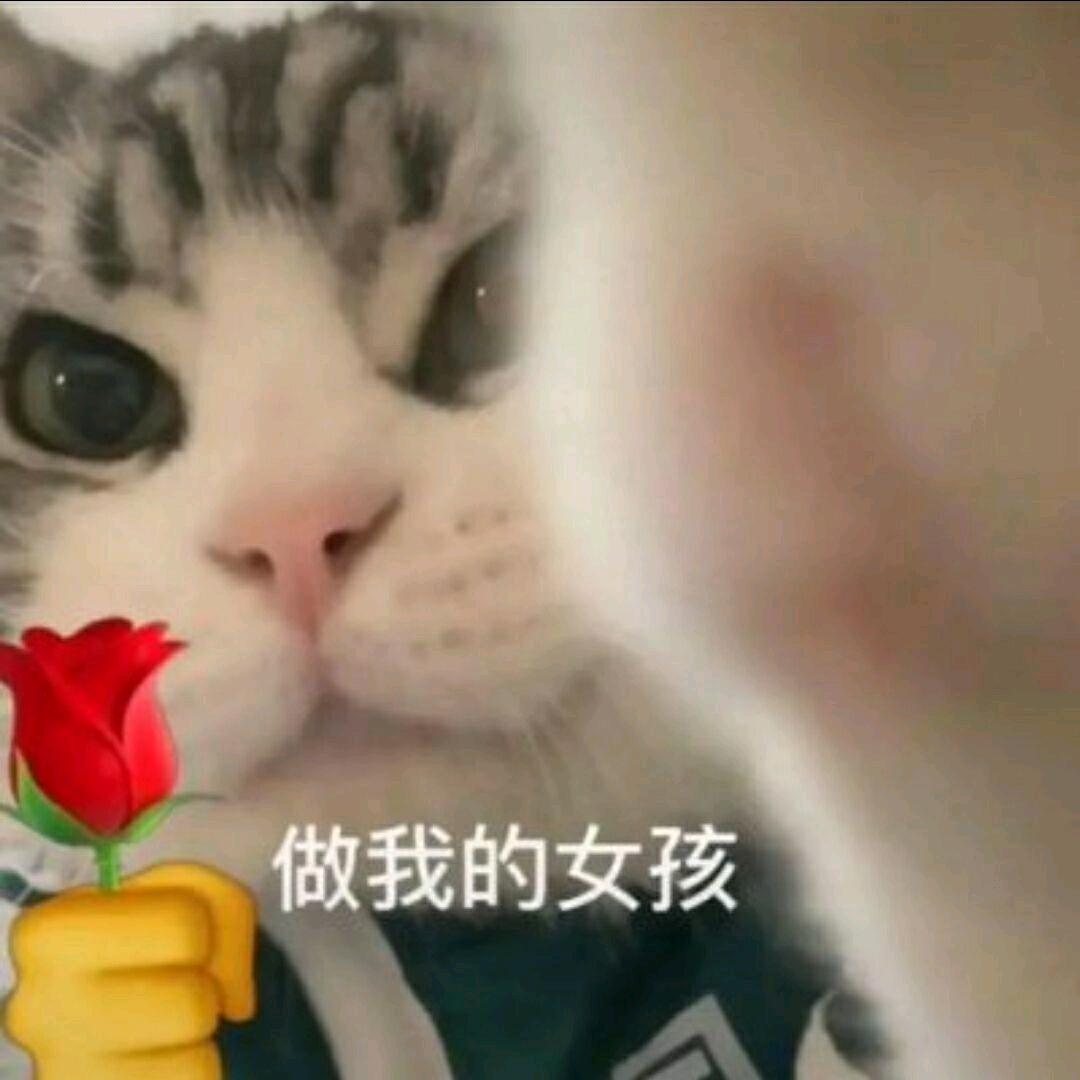 真爱在嘛？