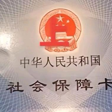 上海《综宝》🇨🇳