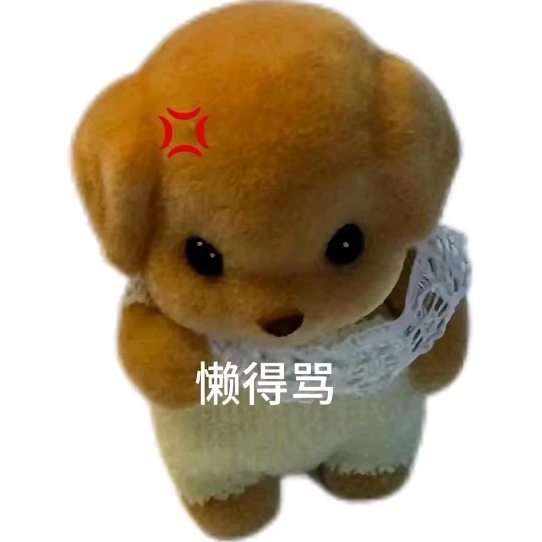 叼泥公龟