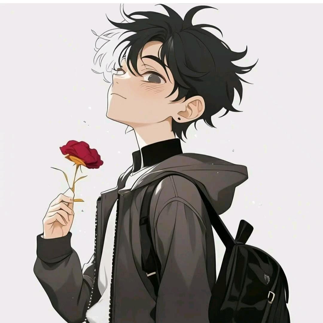 ✨*✨