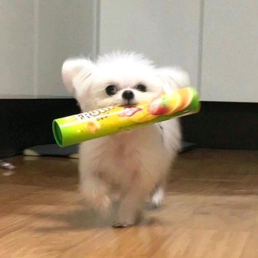 嘻