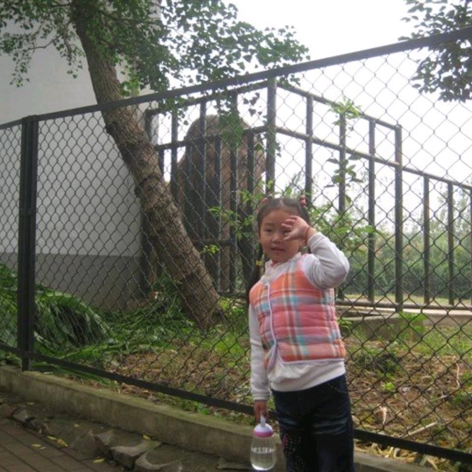 情深似海（宁）