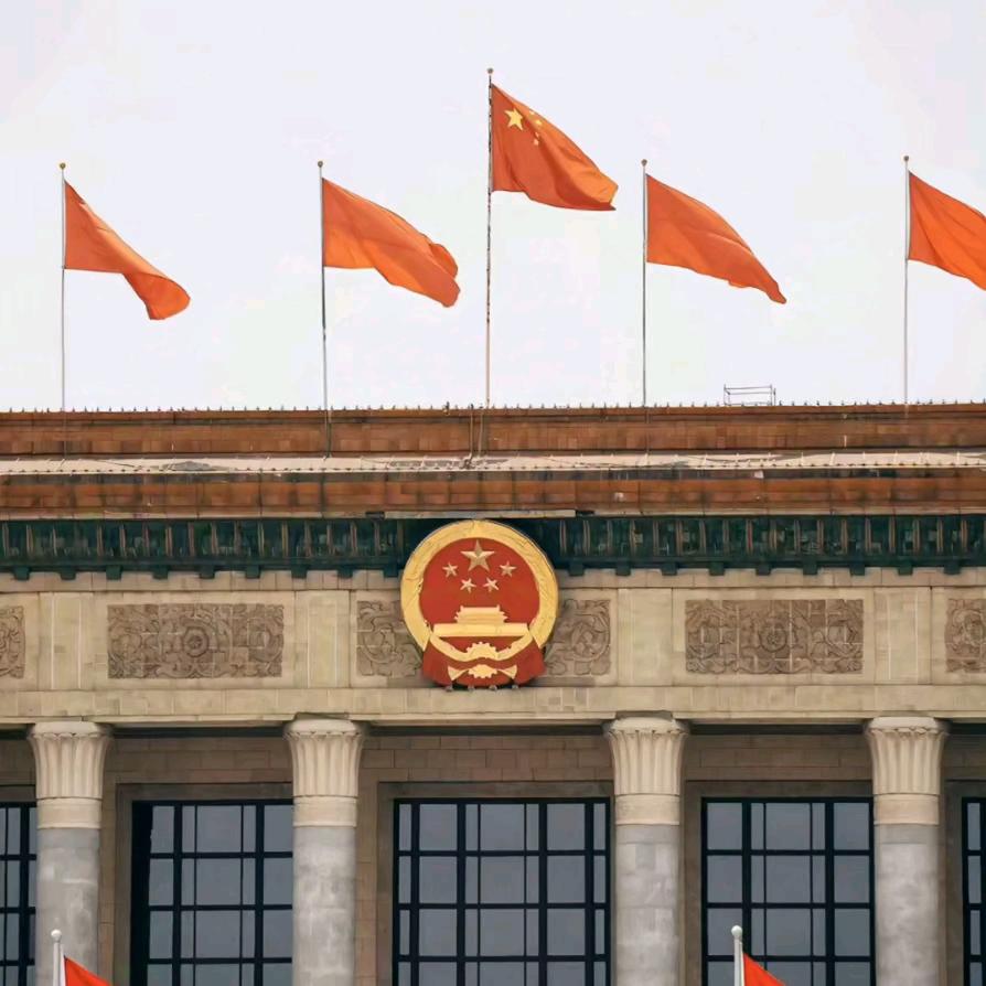 我看见窗外的风还有你