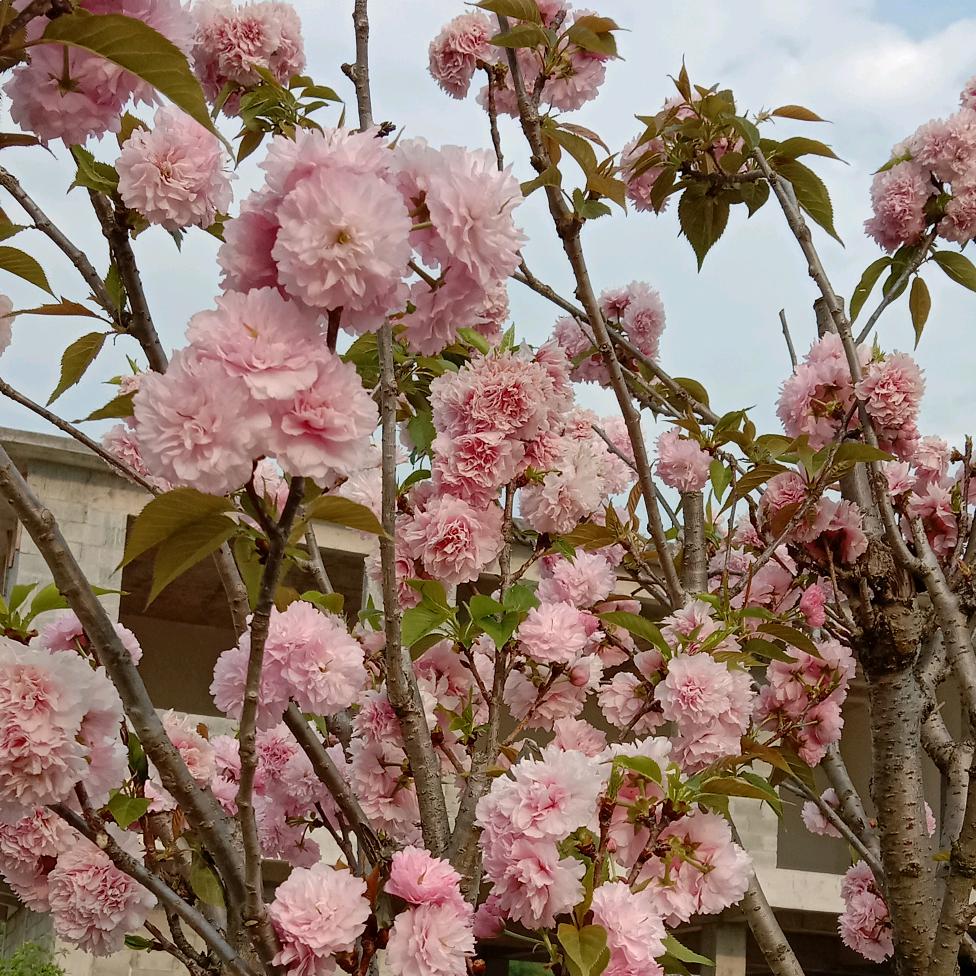 陪你一起看日落👭