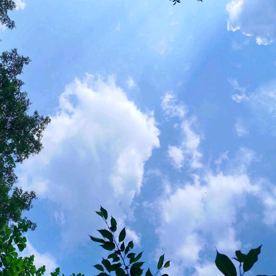 永远在你身后🌹