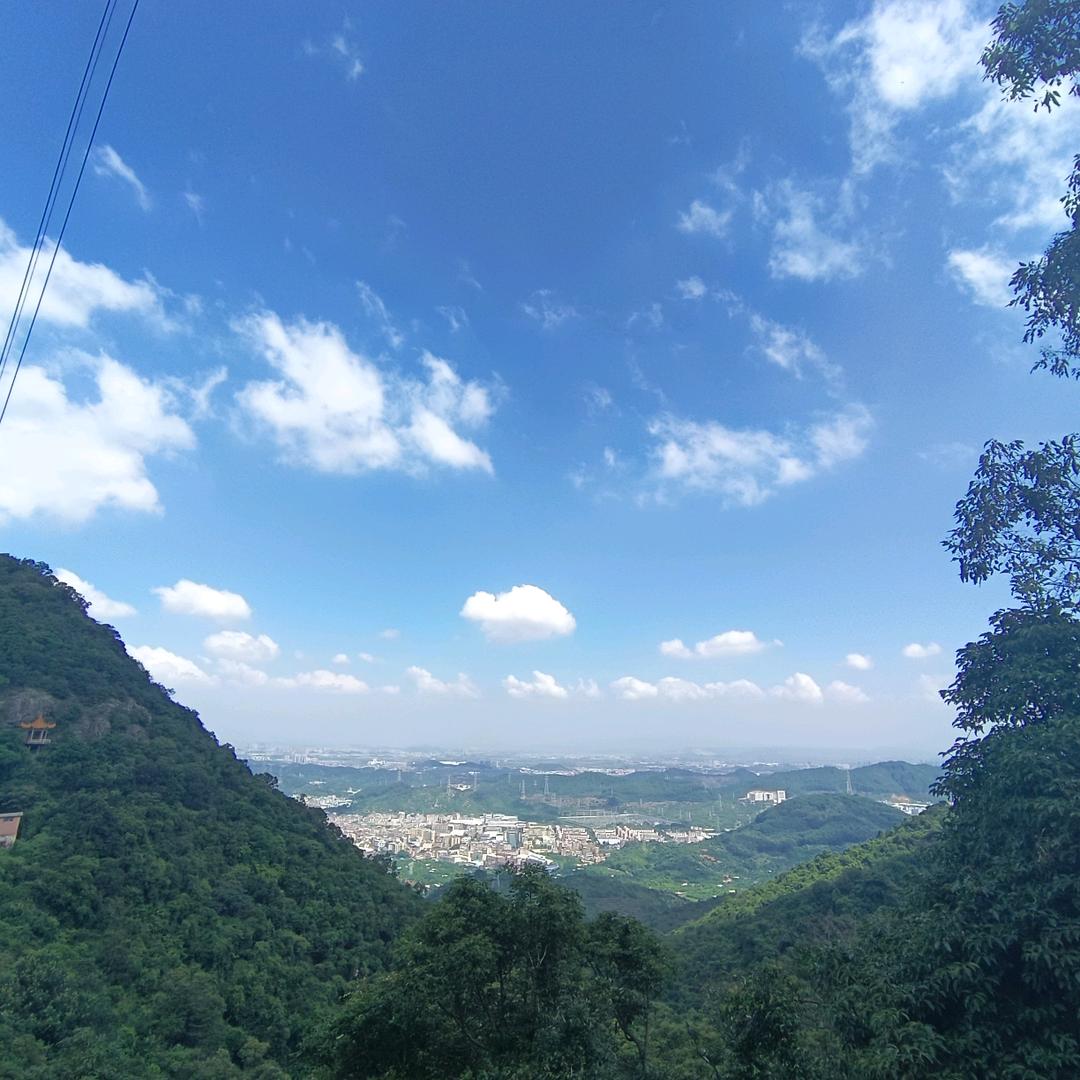 山青少秀