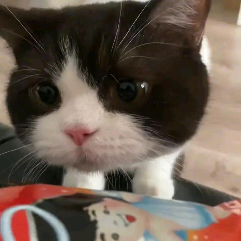 有点饱.