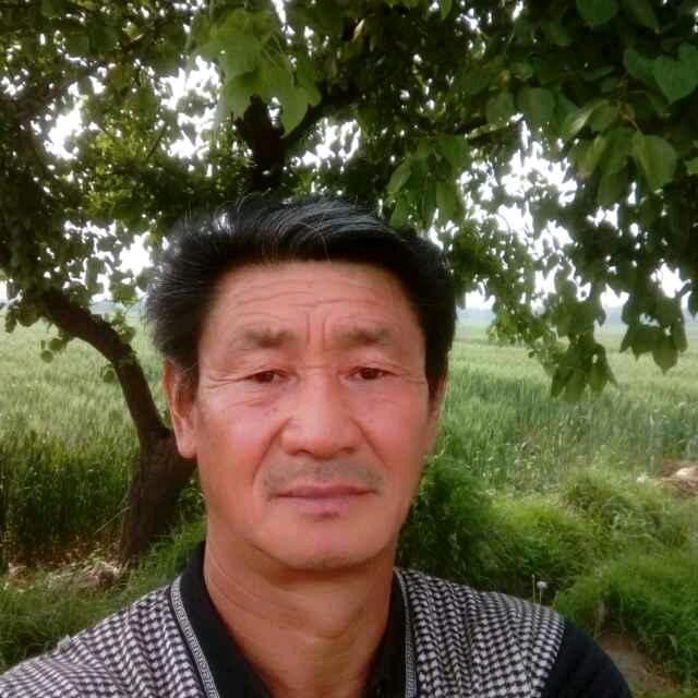 庄子善