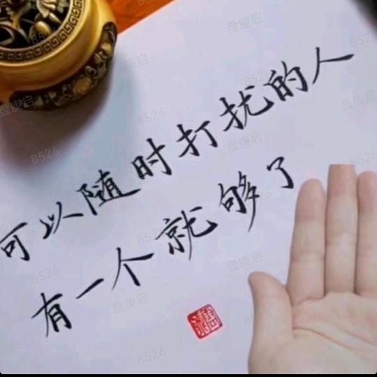 plate启