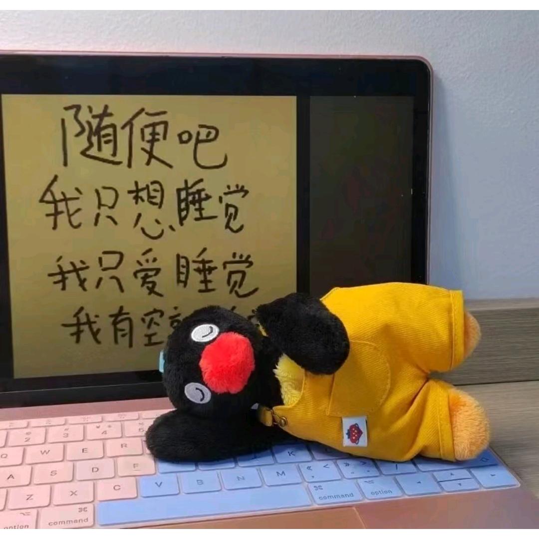 小c（晚睡早起版）