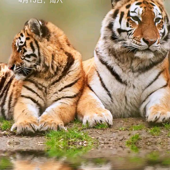 做一位善良的人