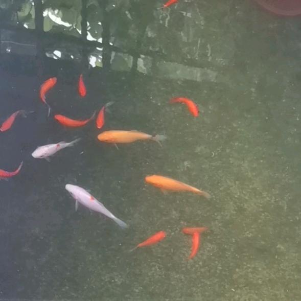 🌈年复一年🌈