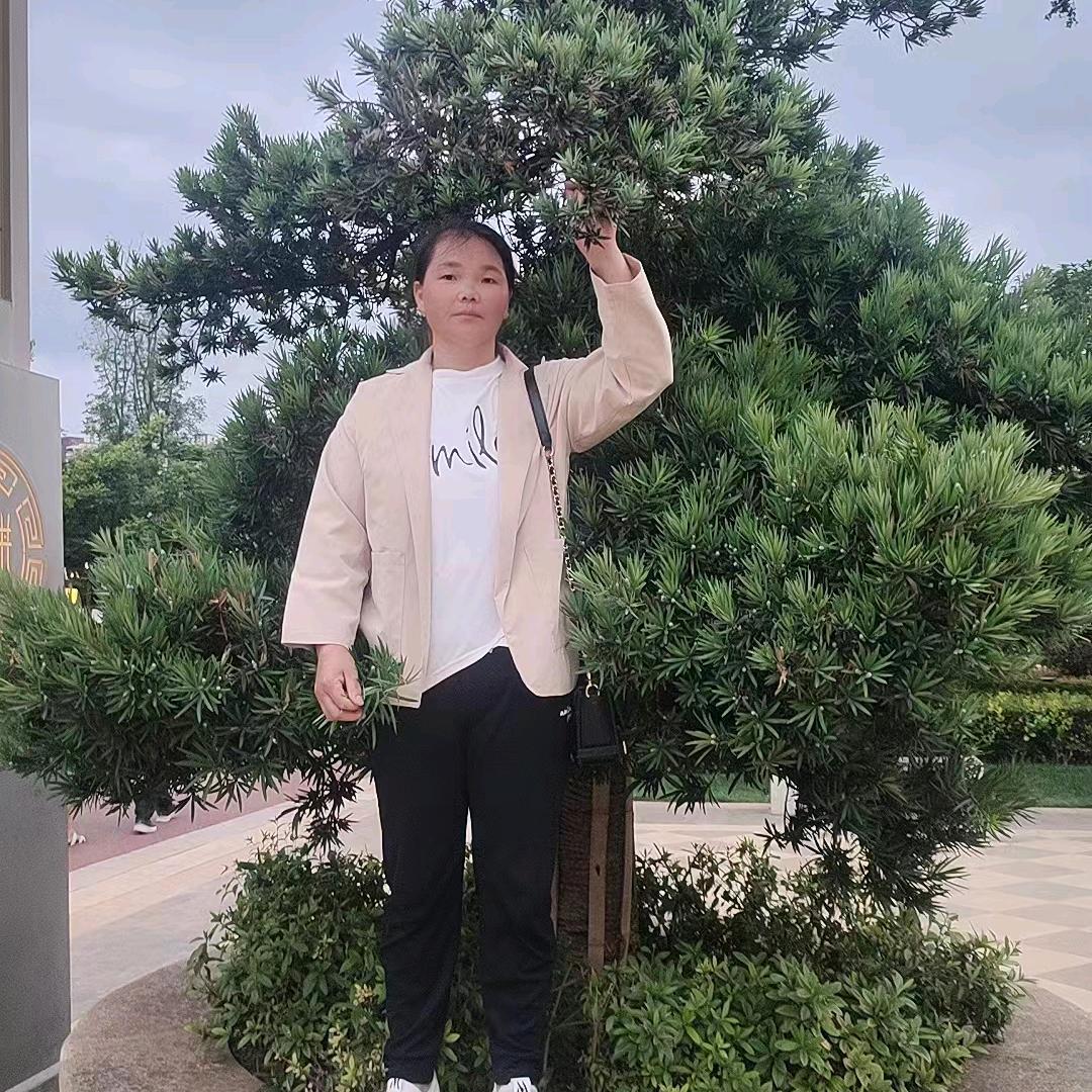小陈，天下龙行
