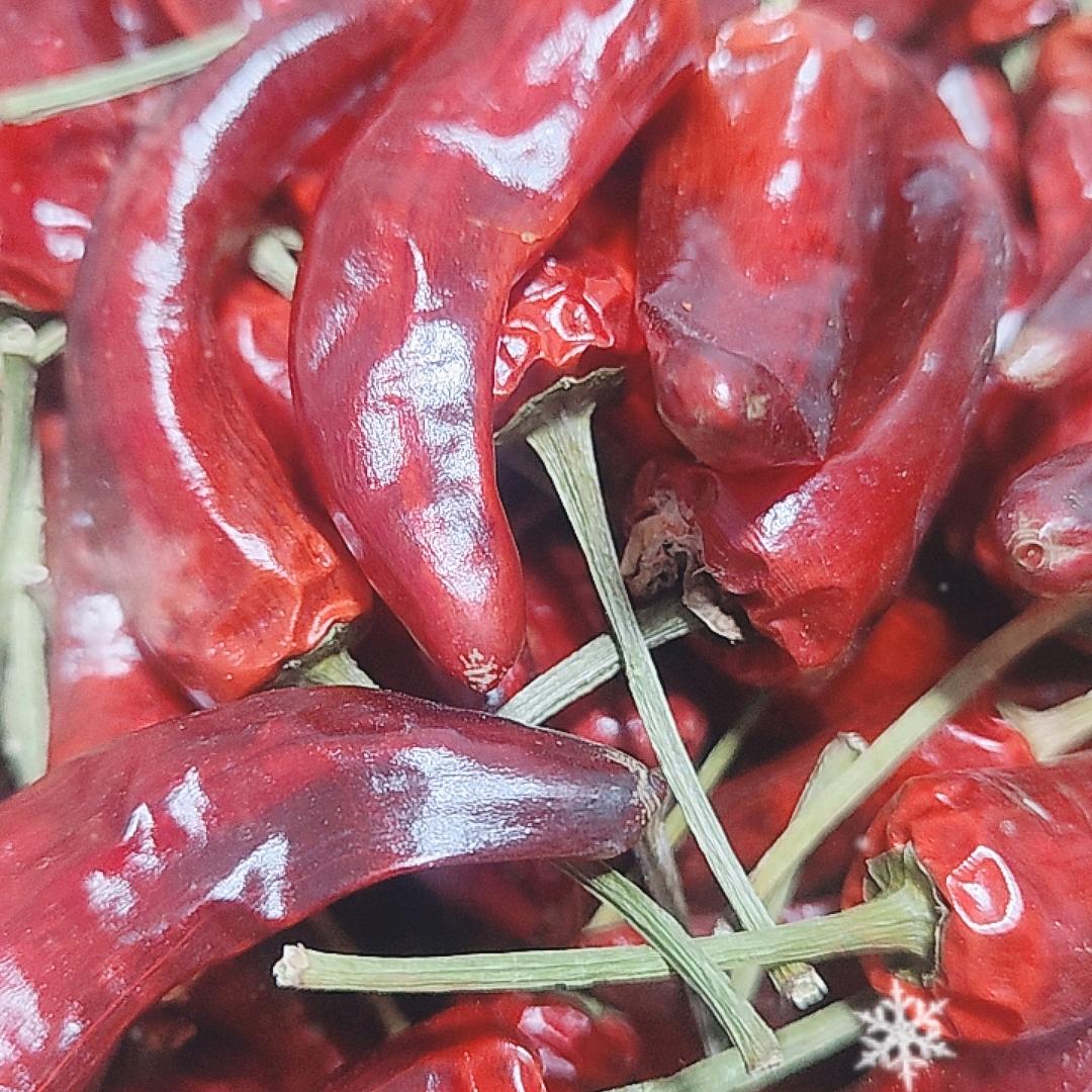 闔家歡樂