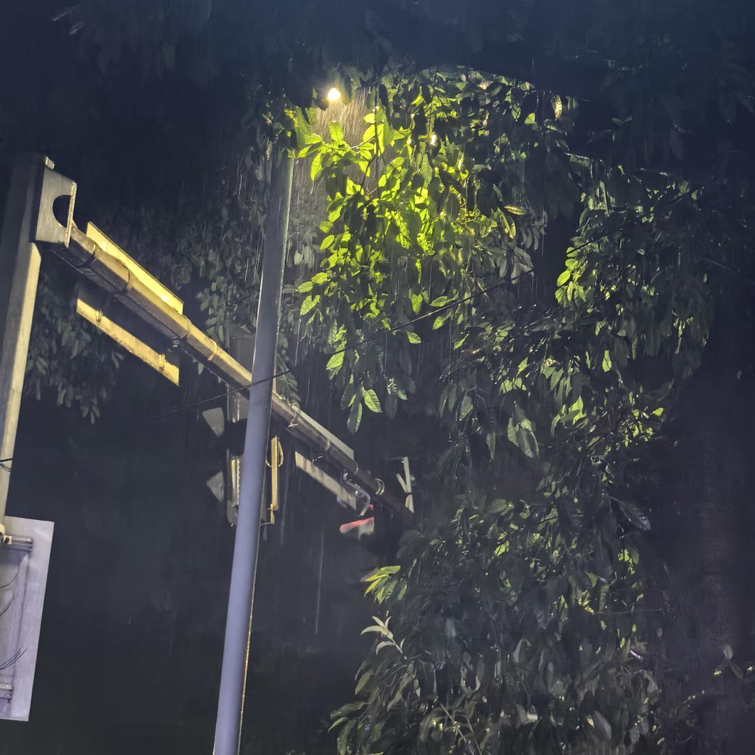 唔哒哒            ╭