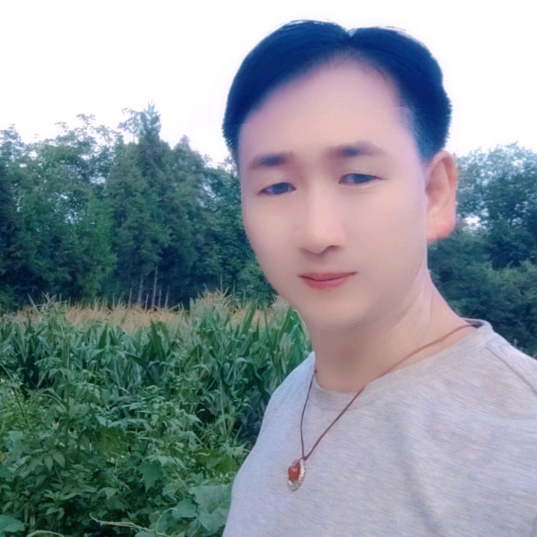 单身艺人