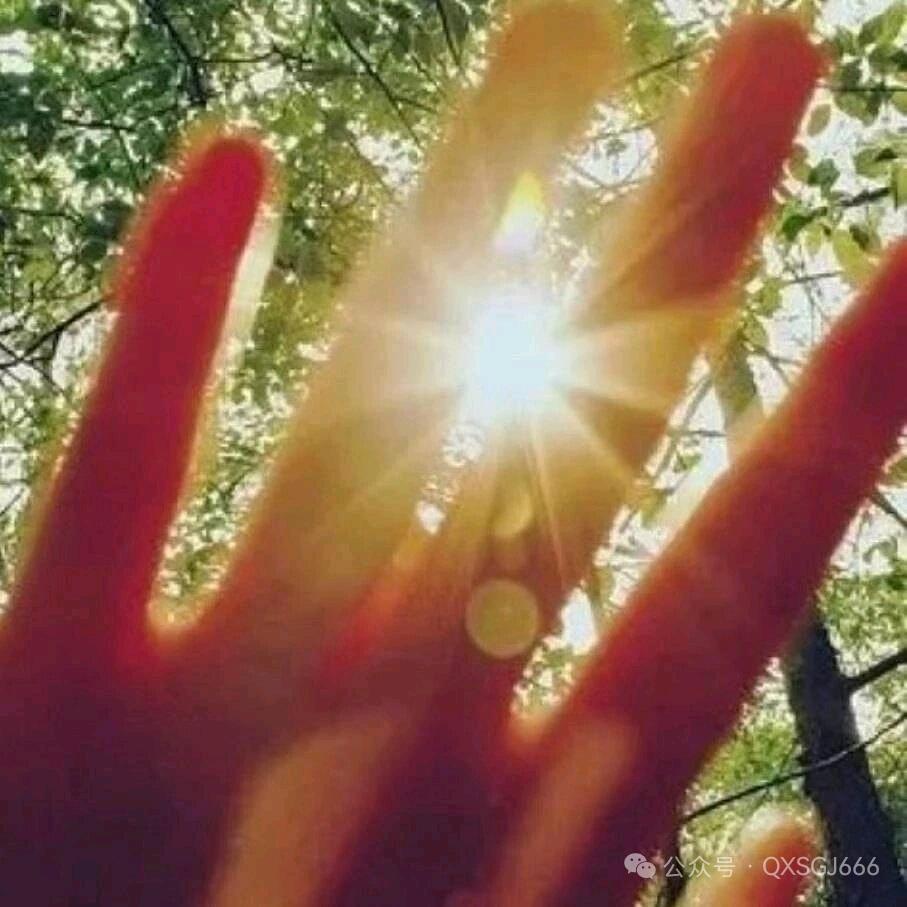 井致之光📚黄金屋