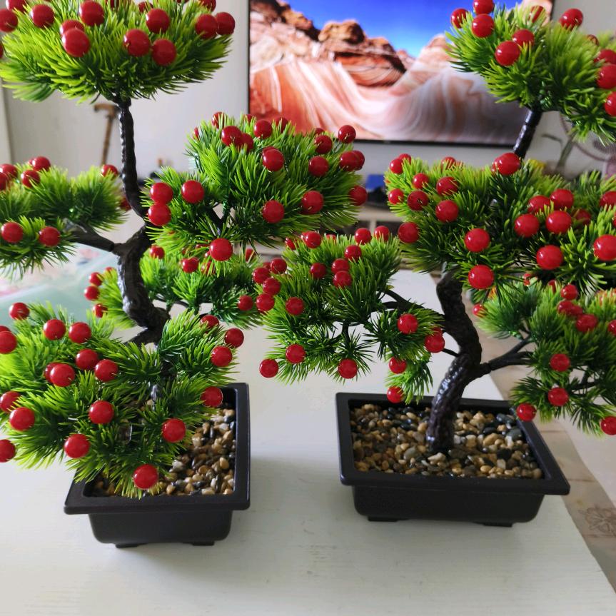 快乐每一天小代