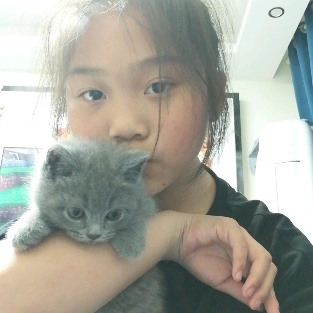 我爱我的小猫柏兰