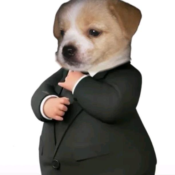 难尽枫