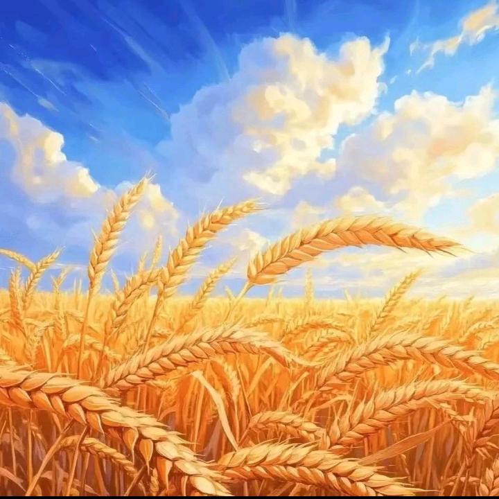 余生勿扰🌻