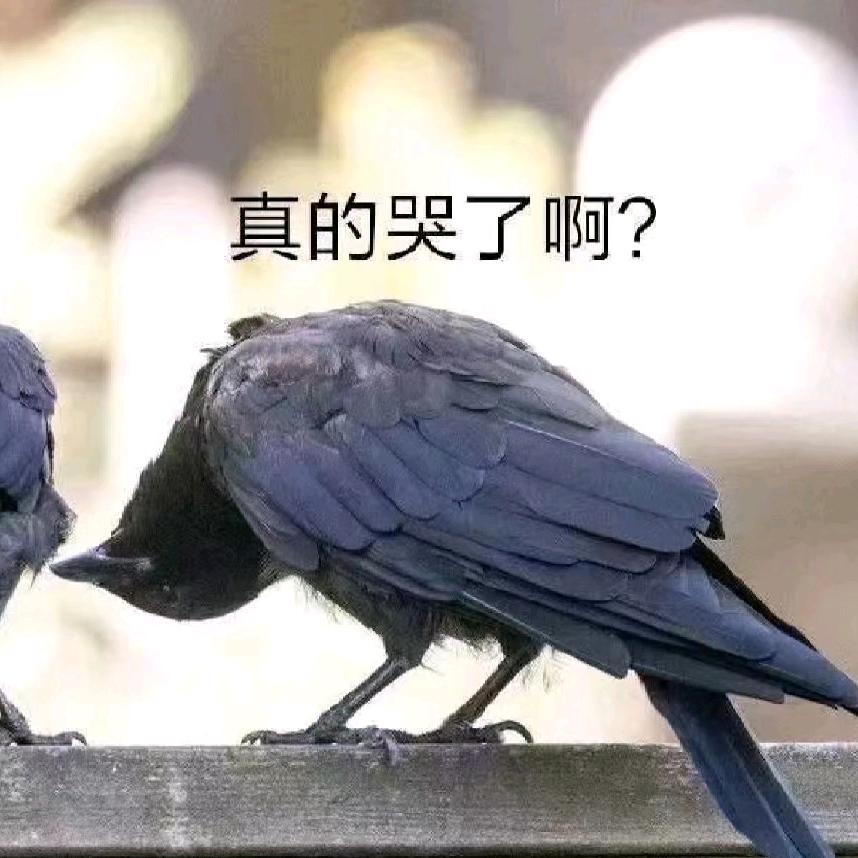 我嘞个豆！是林楚楚啊